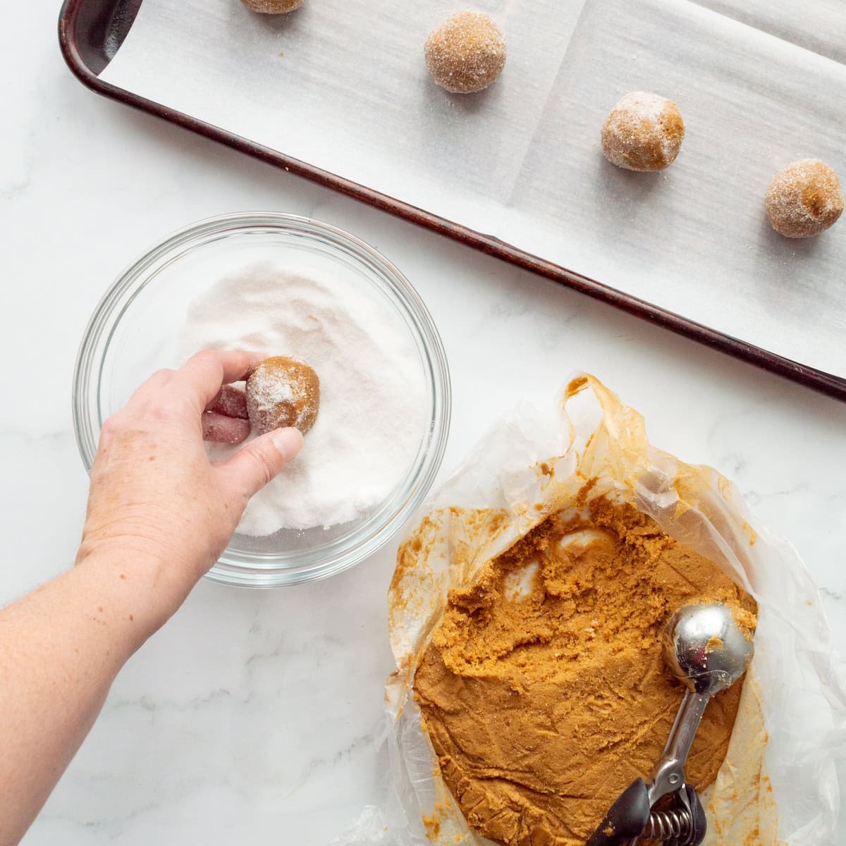 Rolling balls of ginger molasses cookie dough in granulated sugar.