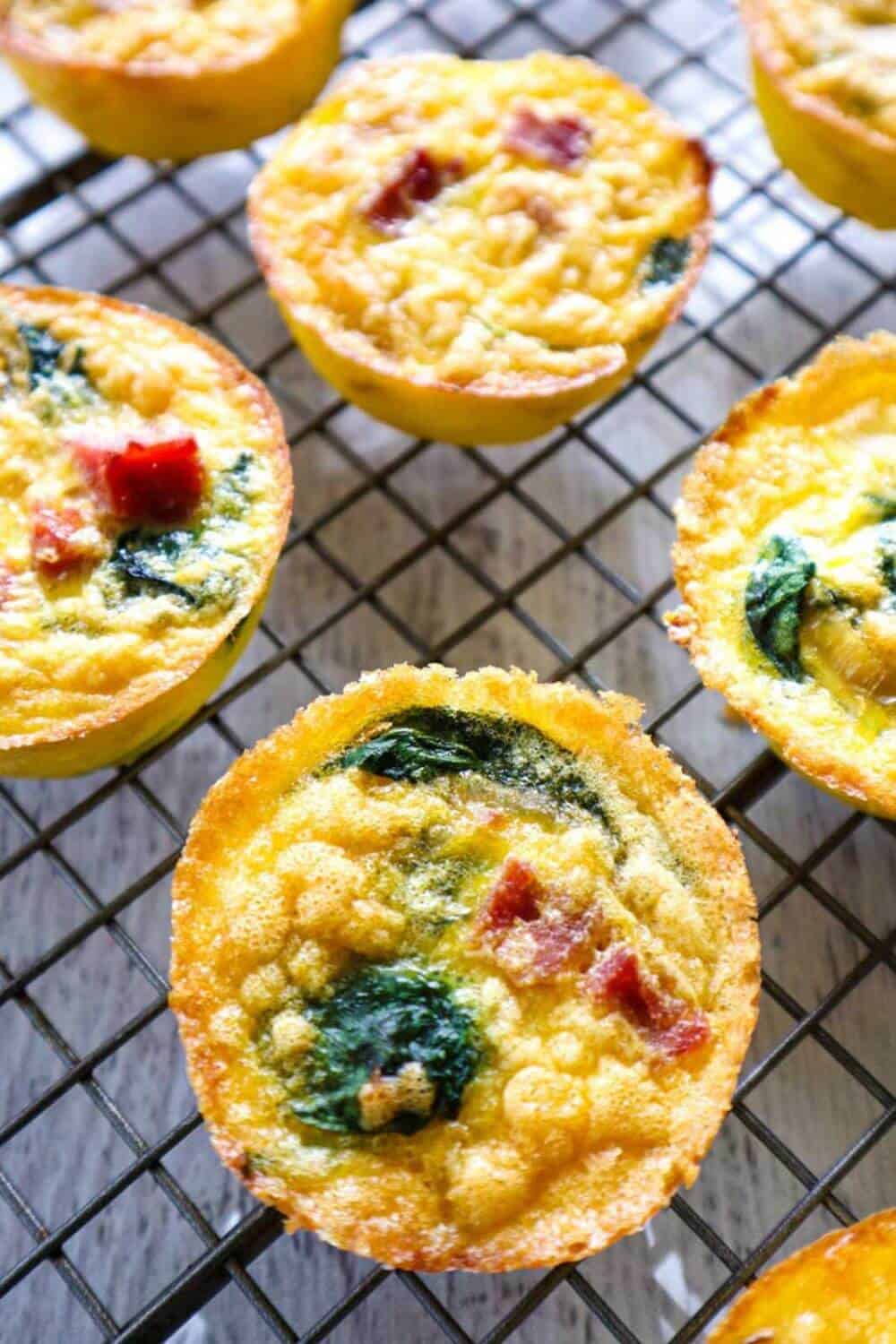 Egg Bites