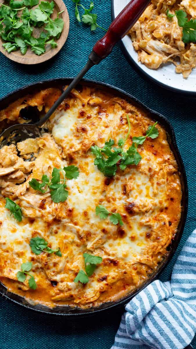 Sour cream chicken enchiladas casserole with shredded chicken, creamy enchilada sauce, melted cheese, and fresh cilantro served in a cast iron skillet.